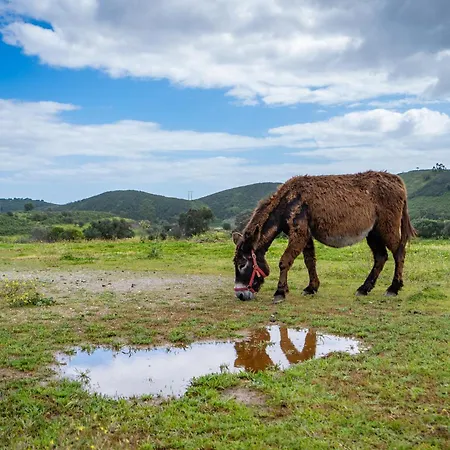 Burro By Host Wise Feriegård Portimão