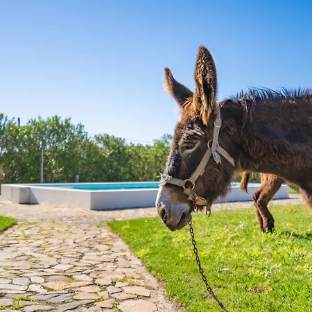 Feriegård Burro By Host Wise