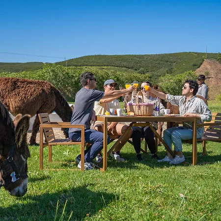 Burro By Host Wise Feriegård