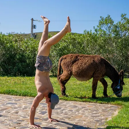 Burro By Host Wise Feriegård *