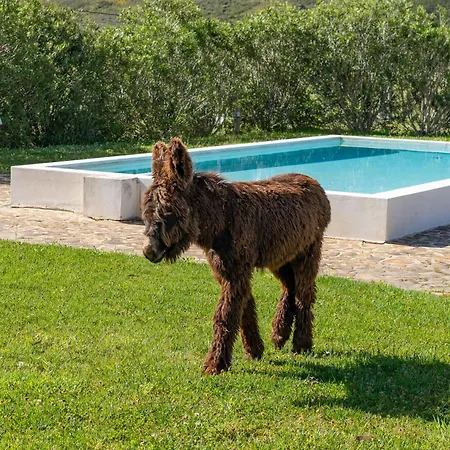 Séjour à la ferme Burro By Host Wise Portimão