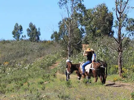 Burro By Host Wise Séjour à la ferme Portimão