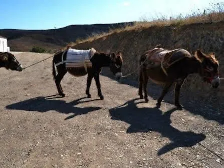 Séjour à la ferme Burro By Host Wise Portimão