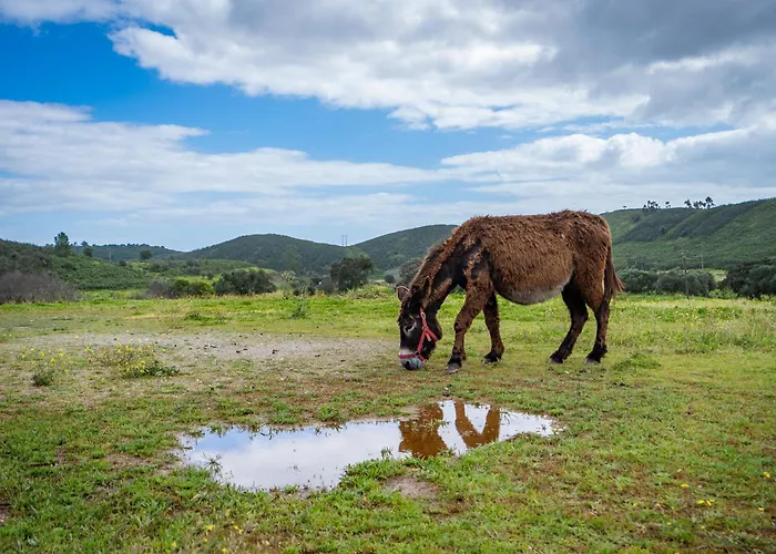 Burro By Host Wise Farmház Portimão