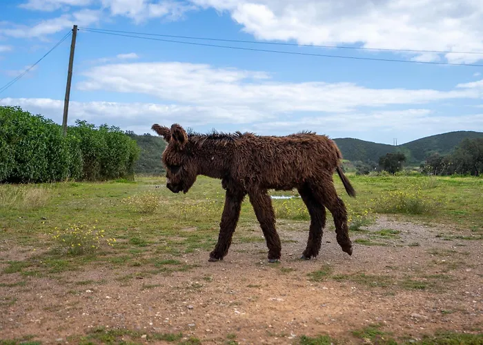 Farmház Burro By Host Wise Portimão