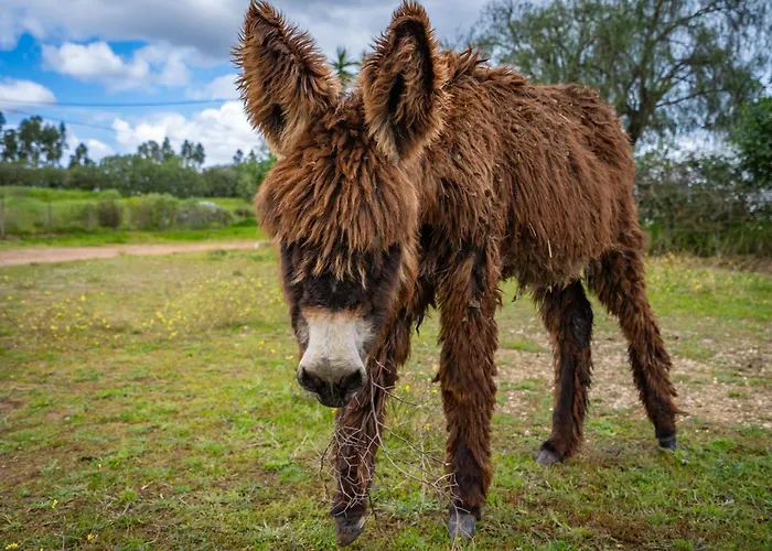Farmház Burro By Host Wise