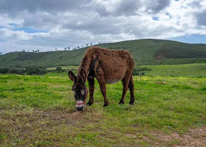 Farmház Burro By Host Wise
