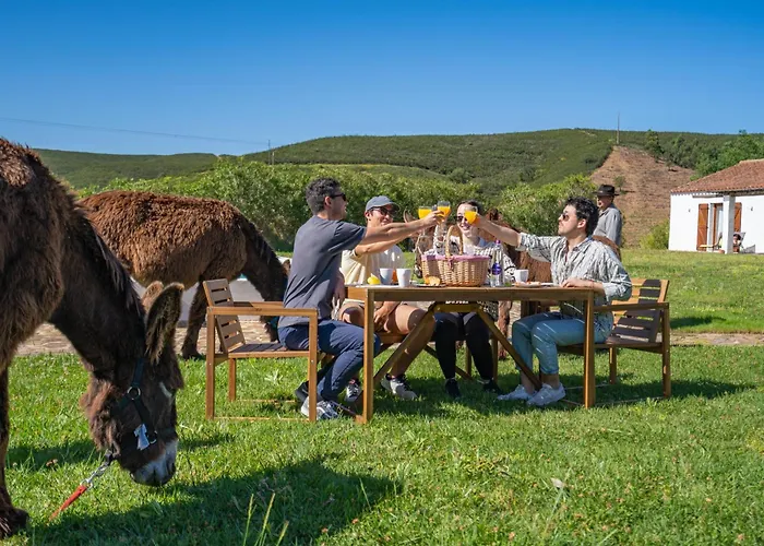 Burro By Host Wise Farmház