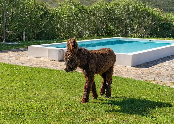 Farmház Burro By Host Wise Portimão