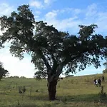 Burro By Host Wise Agroturismo *
