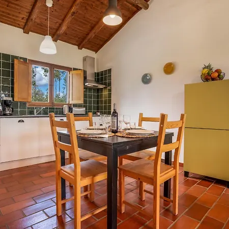 Burro By Host Wise *