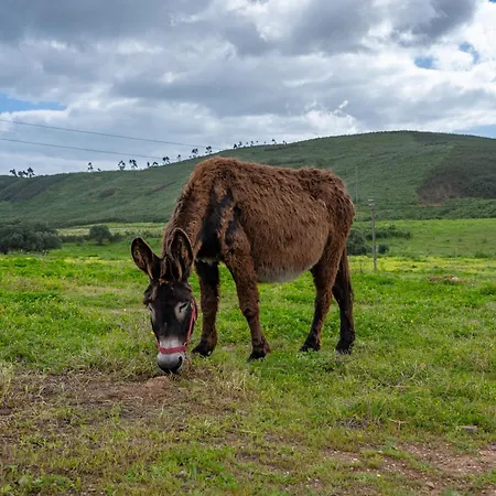 Çiftlik konaklama Burro By Host Wise