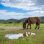 Burro Ville Farm stay Portimao