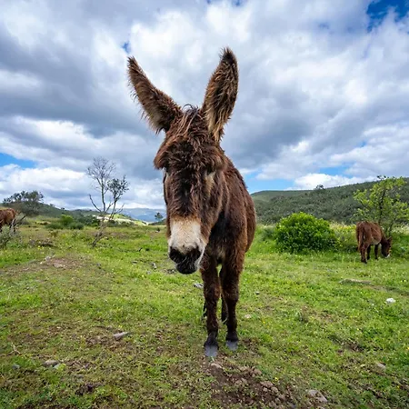 مزرعة للإقامة Burro By Host Wise *